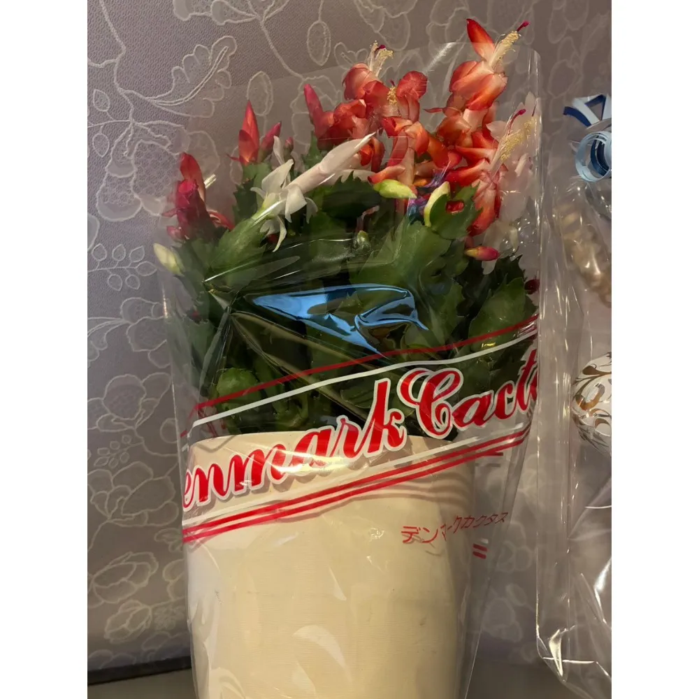 📸それどこの？と聞かれる